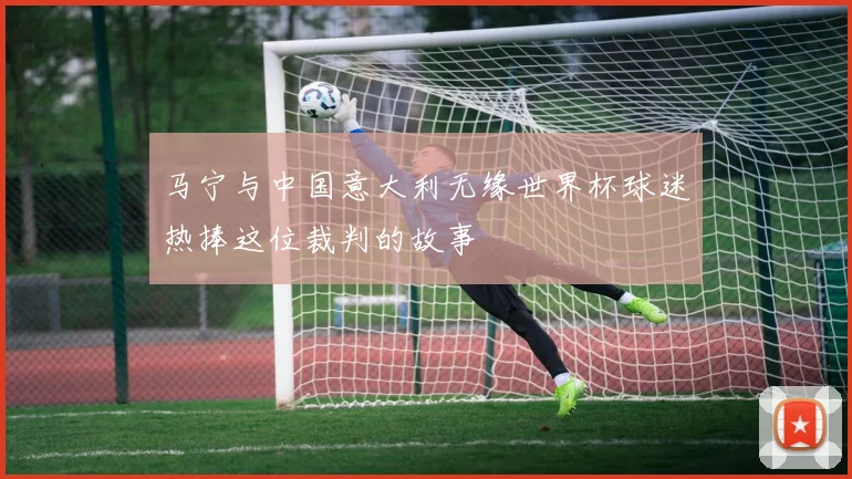 马宁与中国意大利无缘世界杯球迷热捧这位裁判的故事