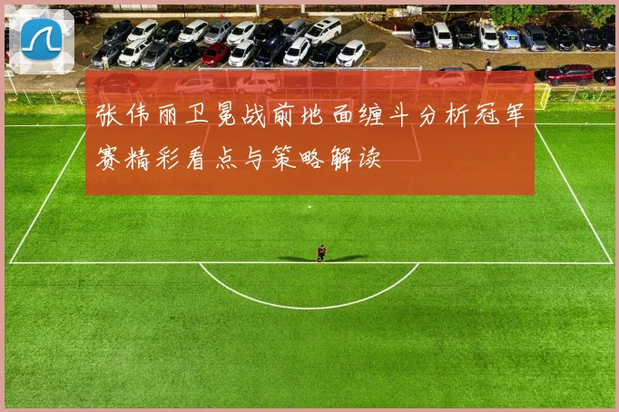 张伟丽卫冕战前地面缠斗分析冠军赛精彩看点与策略解读